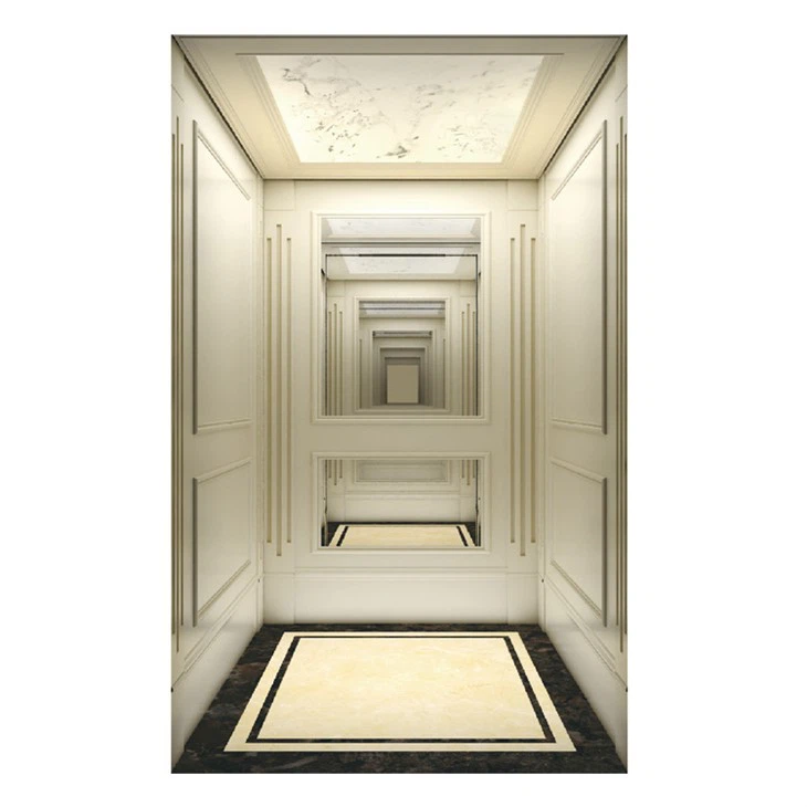 Electric Home Elevator