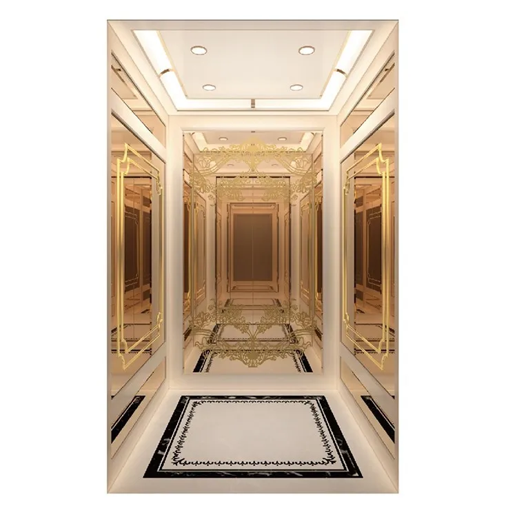 1Commercial Passenger Elevator 1Commercial Passenger Elevator